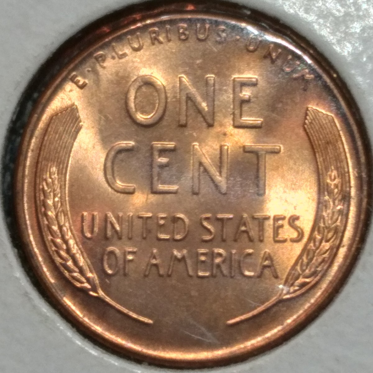Come-Across-At-Yard-Sale-Almost-For-Free---1956-D-LWC